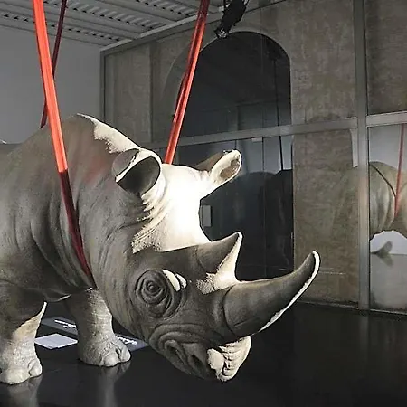 Lejlighedshotel Rhinoceros